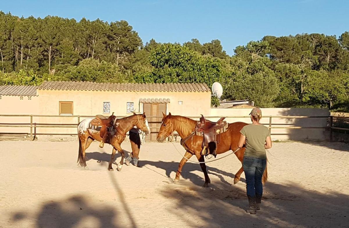 Hotel Finca Caballo Blanco Montuiri  Esterno foto