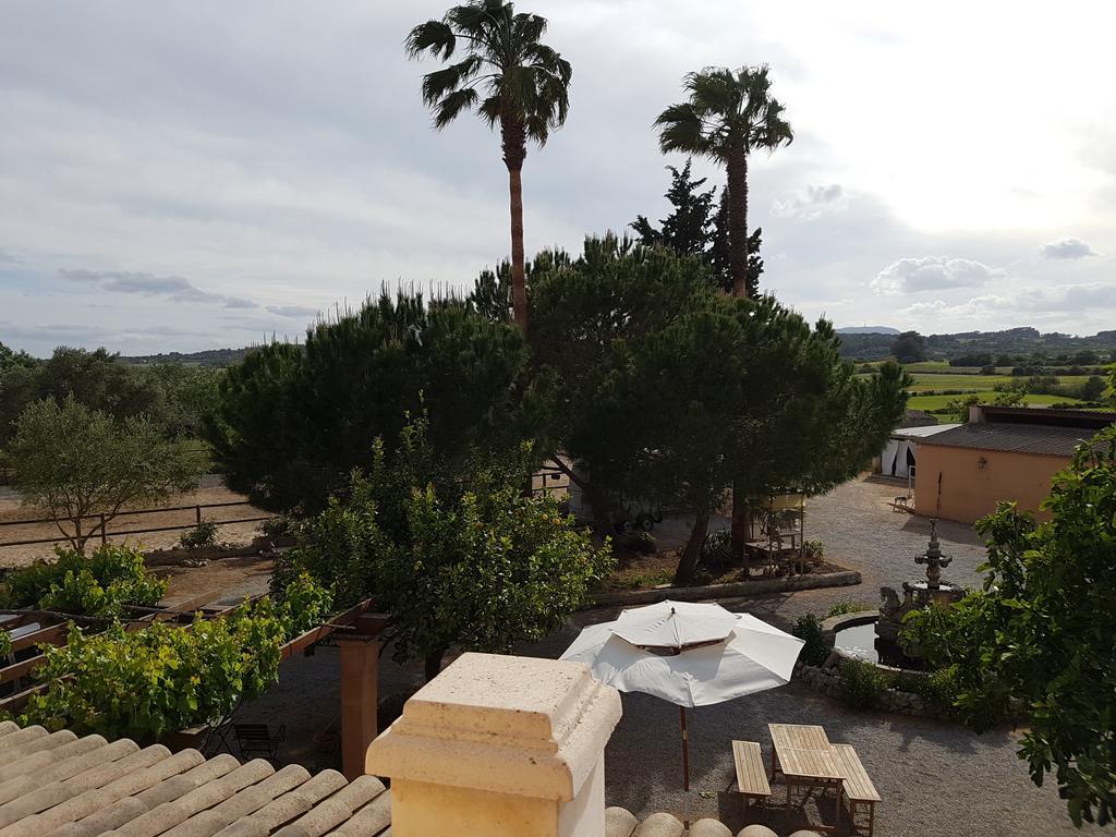 Hotel Finca Caballo Blanco Montuiri  Esterno foto