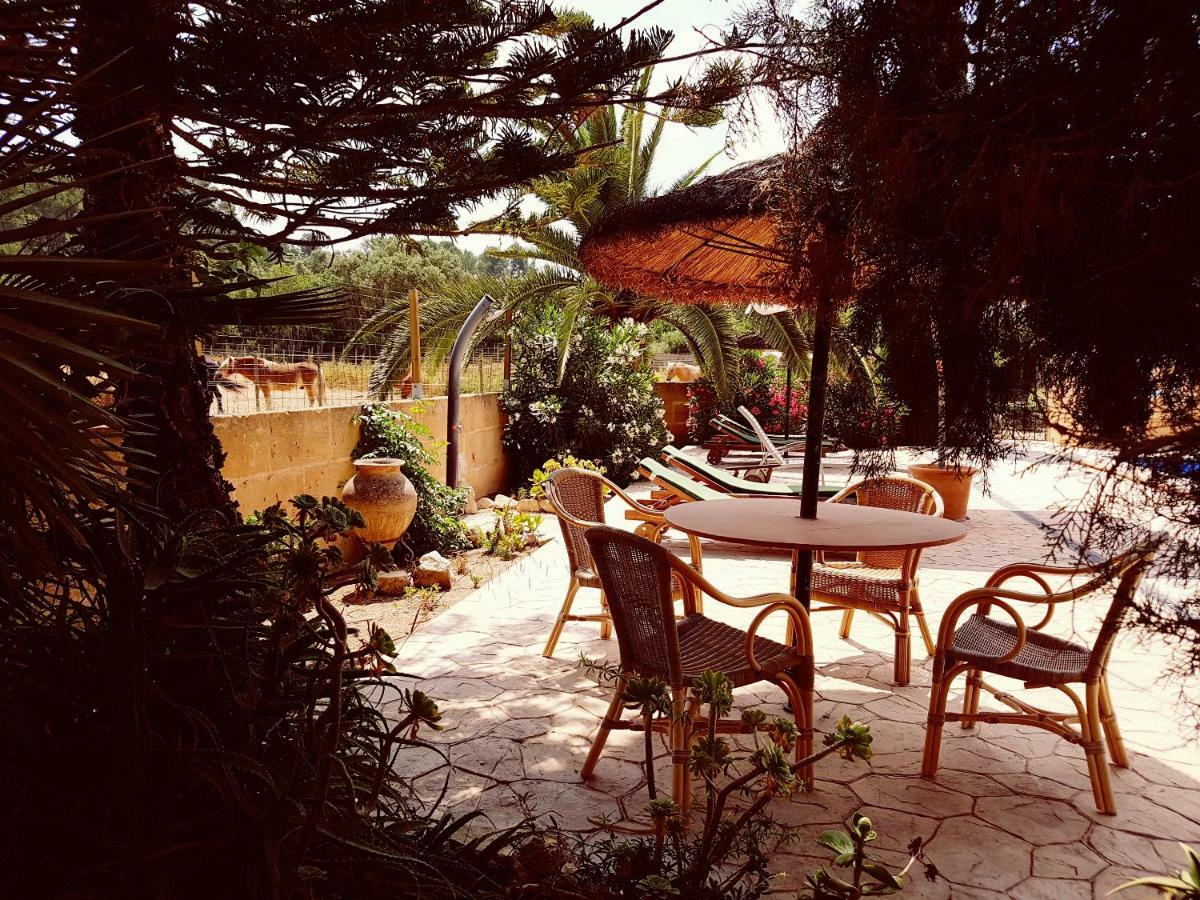 Hotel Finca Caballo Blanco Montuiri  Esterno foto